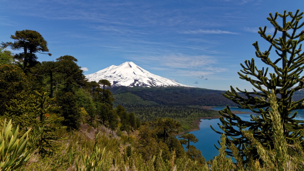 09 - Conguillio NP (4) - Sendero Sierra Nevada.jpg